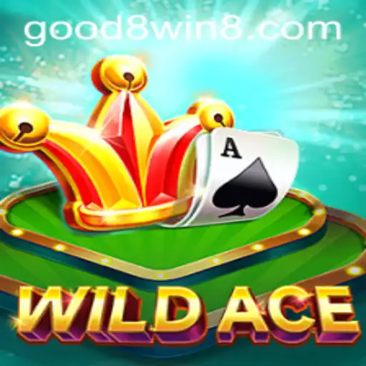 WildAce: A Thrilling Card Game Adventure